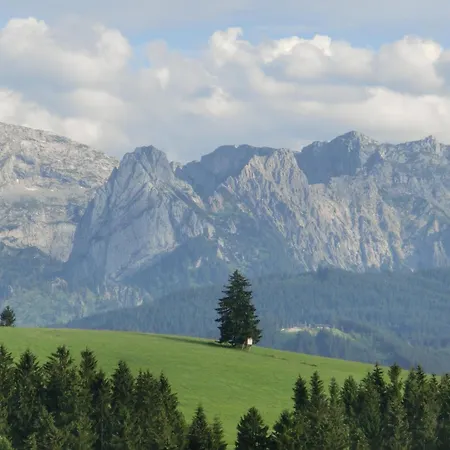 Rural Near Bavarian Lakes