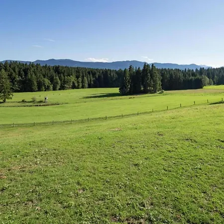 Rural Near Bavarian Lakes *