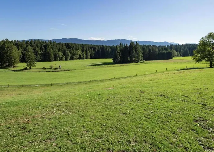 Rural Near Bavarian Lakes *
